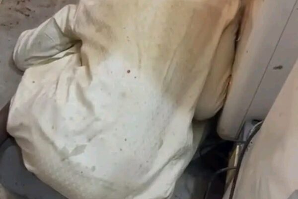 قتل صاحب متجر بأم سنينة داخل العاصمة أنجمينا من مجهولين حتى الآن لم تكشف هويتهم